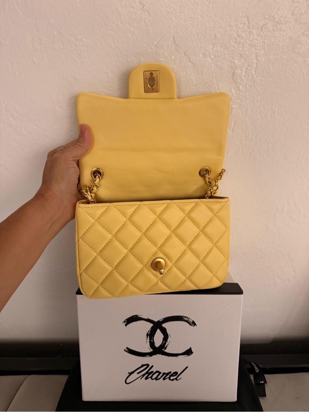 MINI LUXURY BAG - Picture 3 of 16